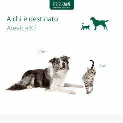 Innovet Alevica® Integratore Compresse Masticabili Per Cani E Gatti -Alimentazione negozio 9023