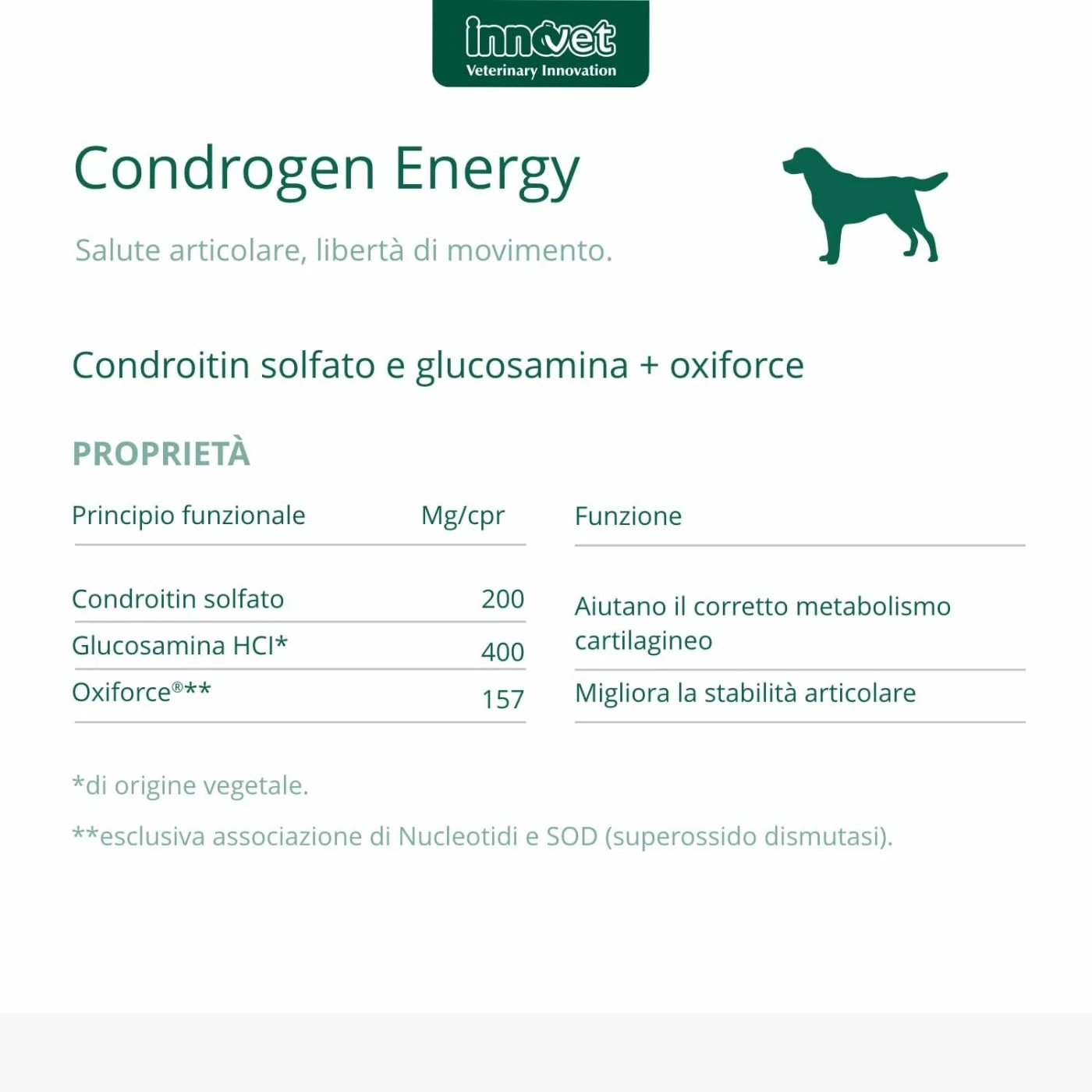 Innovet Condrogen® Energy Integratore Per Cani 8 Innovet Condrogen® Energy Integratore Per Cani - immagine 6