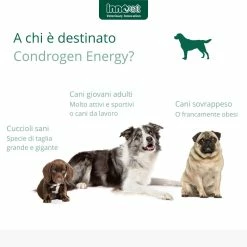 Innovet Condrogen® Energy Integratore Per Cani 14 Innovet Condrogen® Energy Integratore Per Cani -Alimentazione negozio 9041 2