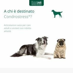 Innovet Condrostress® (+) Integratore Per Cani -Alimentazione negozio 9057 1