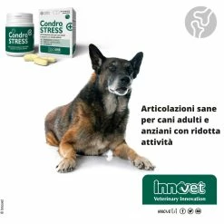 Innovet Condrostress® (+) Integratore Per Cani -Alimentazione negozio 9058 1