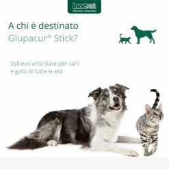 Innovet Glupacur® Stick Integratore Articolare Per Cani E Gatti Di Tutte Le Età 30 Stick Orali -Alimentazione negozio 9064