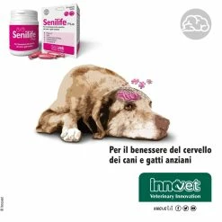 Innovet Senilife® Plus Per Cani E Gatti Anziani -Alimentazione negozio 9114 1