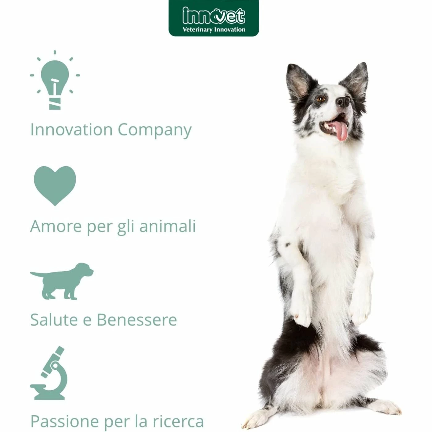 Innovet Normalia® Extra Stick Per Cani 10 Innovet Normalia® Extra Stick Per Cani - immagine 8