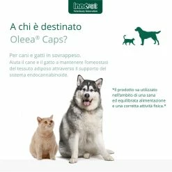 Innovet Oleea® Caps 60 Capsule Per Cani E Gatti In Sovrappeso -Alimentazione negozio 9127