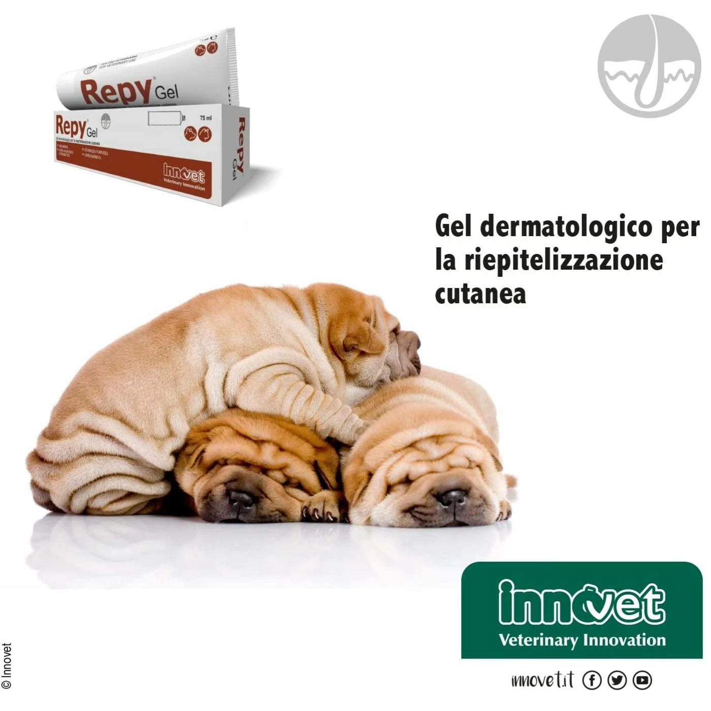 Innovet Repy® Gel 75 Ml Per Cani E Gatti 7 Innovet Repy® Gel 75 Ml Per Cani E Gatti - immagine 5