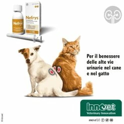 Innovet Nefrys® Integratore Per Cani E Gatti 100ml -Alimentazione negozio 9178