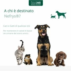 Innovet Nefrys® Integratore Per Cani E Gatti 100ml -Alimentazione negozio 9179