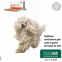 Innovet Glupacur® Compresse Per Cani E Gatti -Alimentazione negozio 9186 2