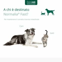 Innovet Normalia® Fast Integratore Per Cani E Gatti -Alimentazione negozio 9190