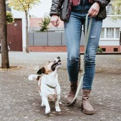 Hunter Guinzaglio Regolabile Inari 20/200 In Poliestere Per Cani -Alimentazione negozio 9433 1