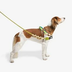 Zee.Dog Pettorina Norvegese Softer-Walk Avocado Per Cani 13 Zee.Dog Pettorina Norvegese Softer-Walk Avocado Per Cani -Alimentazione negozio 9602