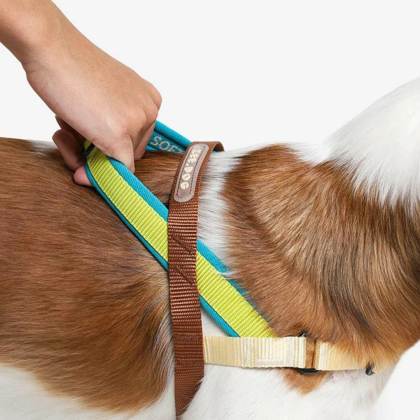 Zee.Dog Pettorina Norvegese Softer-Walk Avocado Per Cani 5 Zee.Dog Pettorina Norvegese Softer-Walk Avocado Per Cani - immagine 3