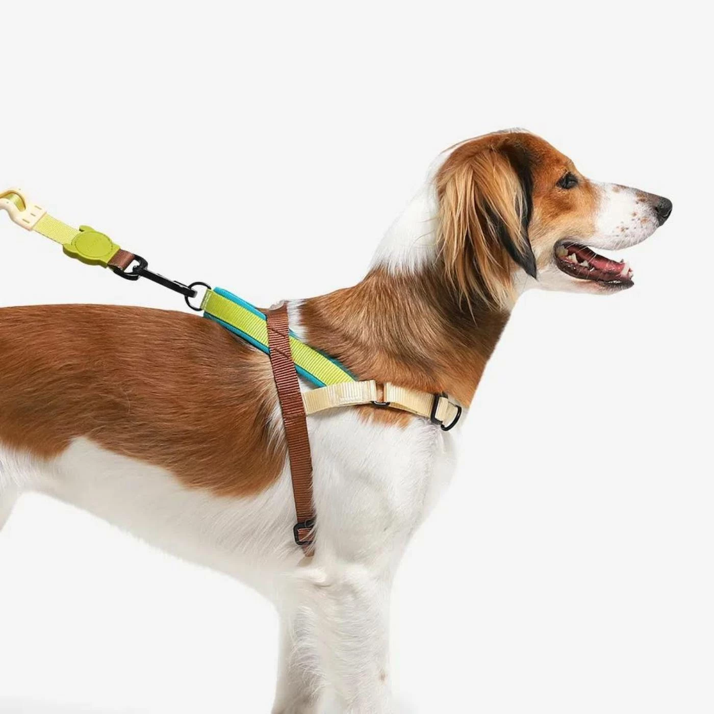 Zee.Dog Pettorina Norvegese Softer-Walk Avocado Per Cani 7 Zee.Dog Pettorina Norvegese Softer-Walk Avocado Per Cani - immagine 5