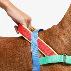 Zee.Dog Pettorina Norvegese Softer-Walk Mellow Per Cani -Alimentazione negozio 9609 3