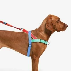 Zee.Dog Pettorina Norvegese Softer-Walk Mellow Per Cani -Alimentazione negozio 9610 1