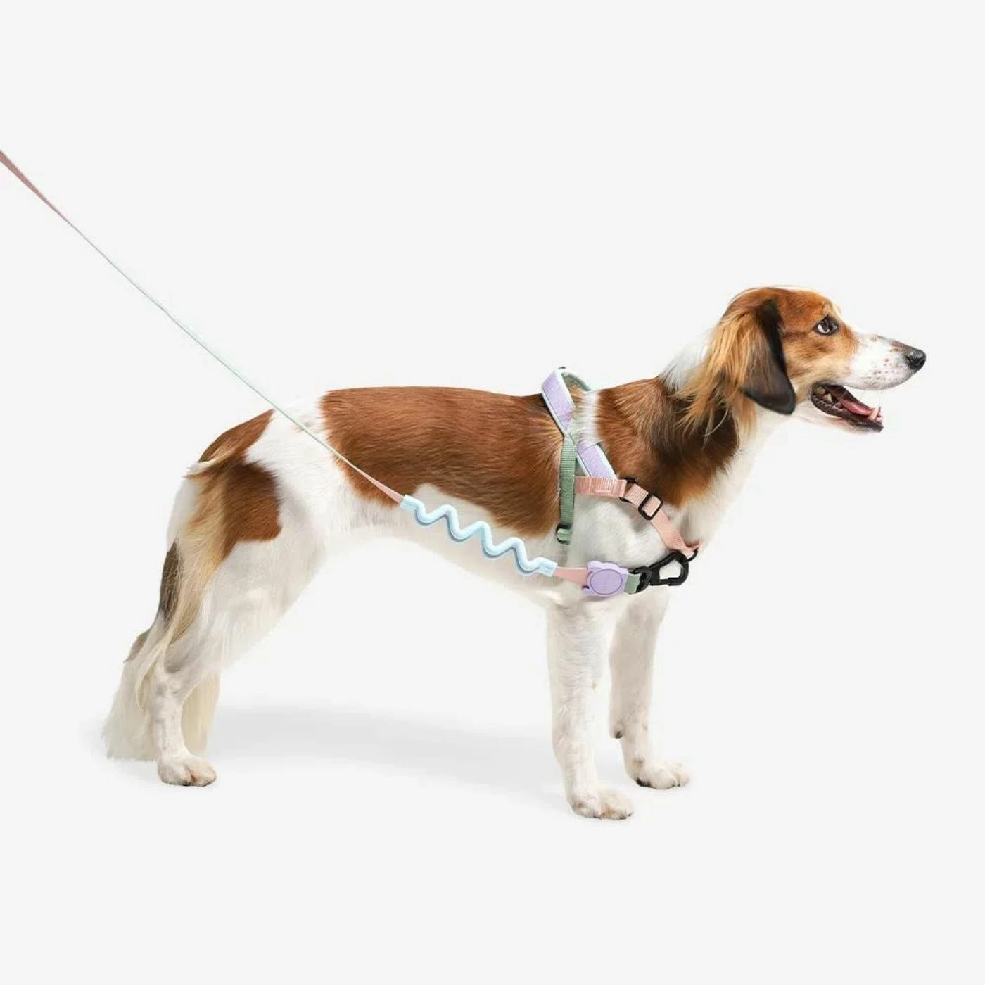 Zee.Dog Pettorina Norvegese Softer-Walk Peach Per Cani 8 Zee.Dog Pettorina Norvegese Softer-Walk Peach Per Cani - immagine 6