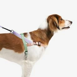 Zee.Dog Pettorina Norvegese Softer-Walk Peach Per Cani -Alimentazione negozio 9616