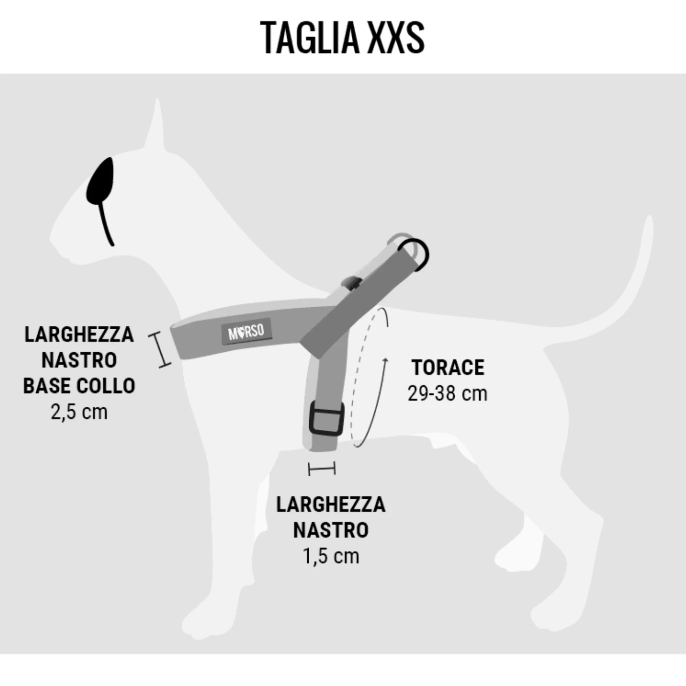 Morso Pettorina Mini Regolabile Splash Per Cani 10 Morso Pettorina Mini Regolabile Splash Per Cani - immagine 8