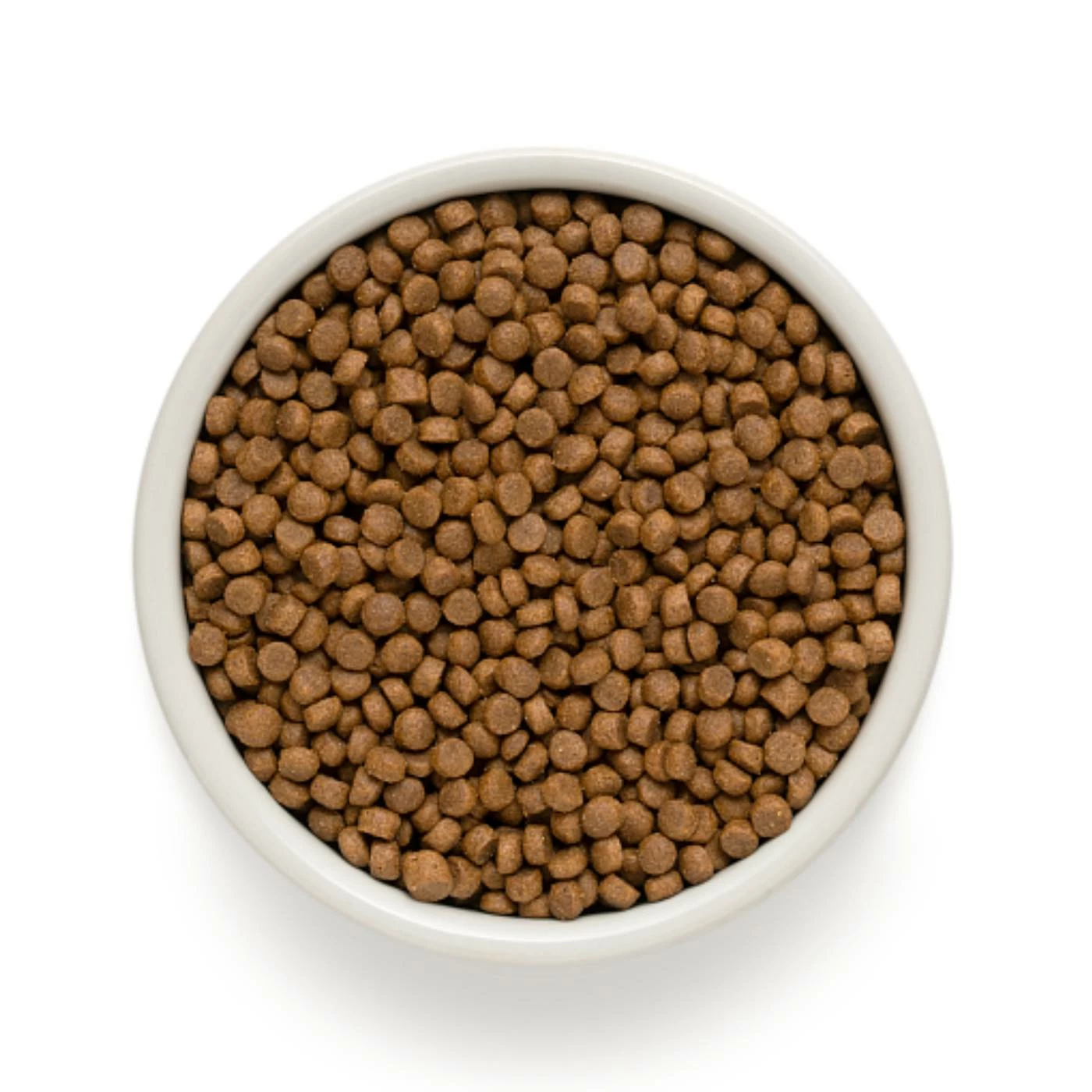 Grandorf Puppy Agnello E Tacchino Per Cuccioli 4 Grandorf Puppy Agnello E Tacchino Per Cuccioli - immagine 2