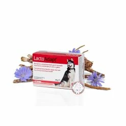 Dogoteka LactoAdapt® 2023 Per Cani E Gatti -Alimentazione negozio 9862 1