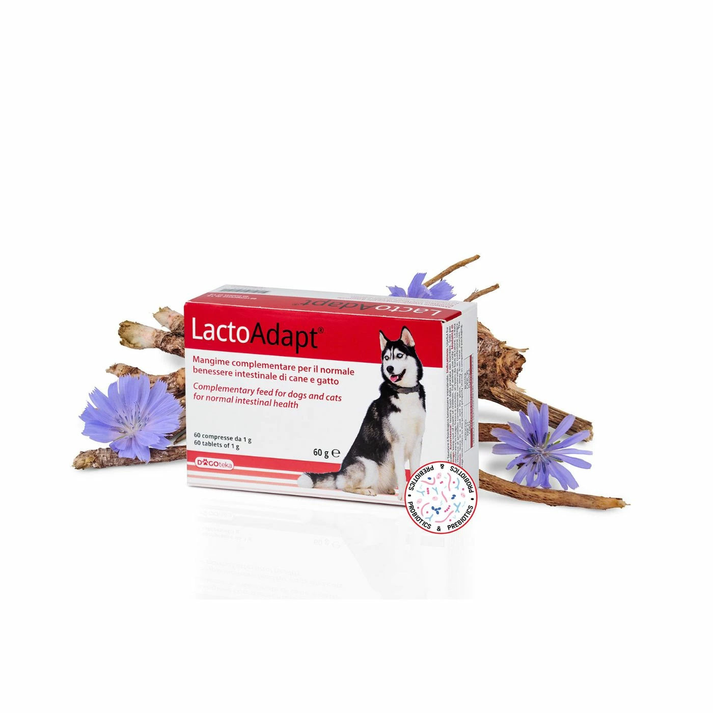 Dogoteka LactoAdapt® 2023 Per Cani E Gatti 5 Dogoteka LactoAdapt® 2023 Per Cani E Gatti - immagine 3