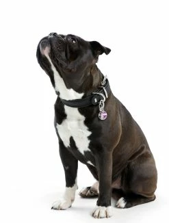 Hunter Moschettone Design In Acciaio -Alimentazione negozio HUNTER 1020 61725 image 003 14 lpr