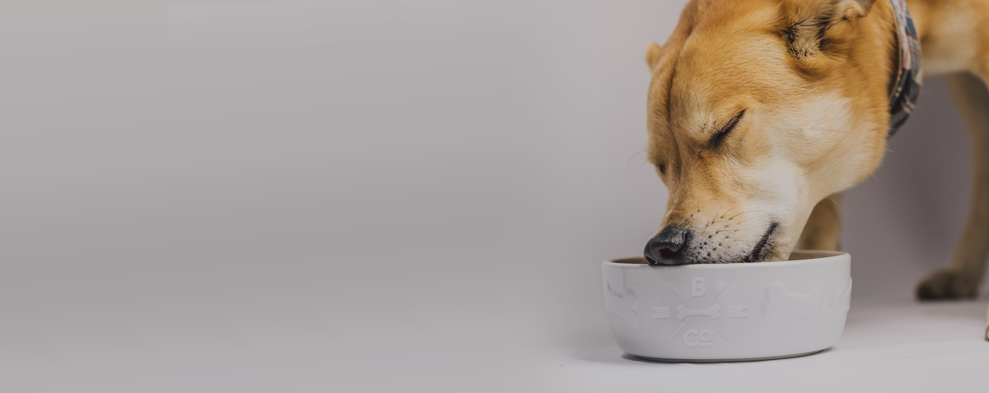 Alimentazione negozio -Alimentazione negozio Keto banner