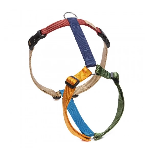 Haqihana Srl Haqihana Pettorina Ad H Multicolor In Nylon Per Cani 4 Haqihana Srl Haqihana Pettorina Ad H Multicolor In Nylon Per Cani - immagine 2