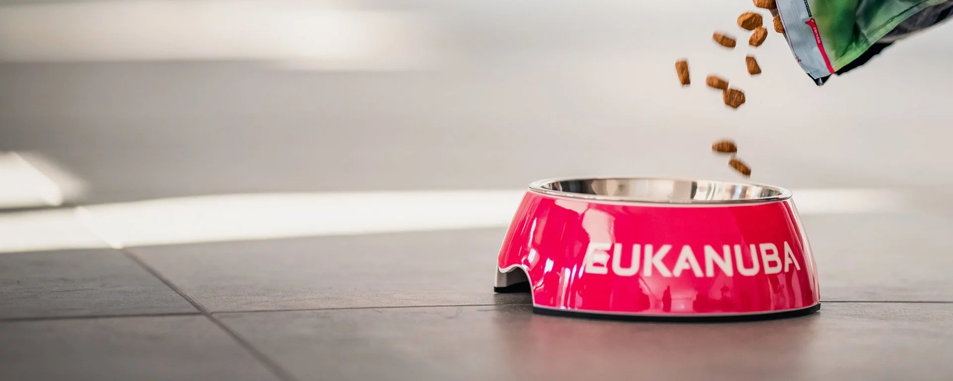 Alimentazione negozio -Alimentazione negozio csm eukanuba dry food banner 8cc38d1552